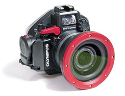 Olympus PEN Underwater Photography Course