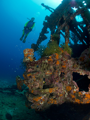 World War II shipwreck in cenderawasih Bay, West Papua