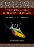 Raja Ampat Reefs